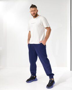 Штаны джоггеры мужские из тринитки на флисе 46-48, 50-52 (2цв) "KIT" недорого от прямого поставщика Rin5048-514v фото