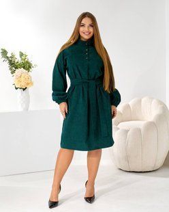 Платье с поясом в комплекте из микровельвета 50-52, 54-56 "TASASHOP" недорого от прямого поставщика 2PLBEG1397-464_2_батал_бутыл_v фото