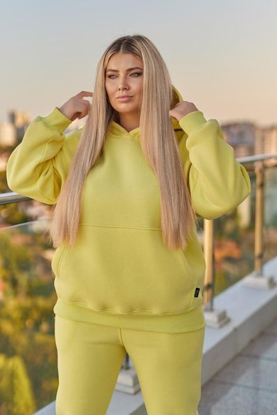 Худи женское трехнить с начесом 40-42, 44-46, 48-50, 52-54 (8цв.) "TEVI " от прямого поставщика Sin1510-7735a/жен фото