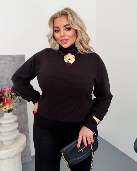 Светр жіночий з м'якого трикотажу з високим коміром 48-50, ONE SIZE (5кол) "MADAME" недорого від прямого постачальника RIN2330-228v фото