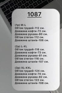 Теплый мужской костюм с капюшоном и карманами из флиса полар, lxl M-L, L-XL, XL-XXL (3цв) "VITVIELLI" недорого от прямого поставщика Av4909-1087v фото