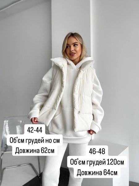 Жилетка женская весна-осень на молнии 42-44,46-48 (3 цв.) "MINIMALIST" от прямого поставщика 2PLGU1459-160t фото