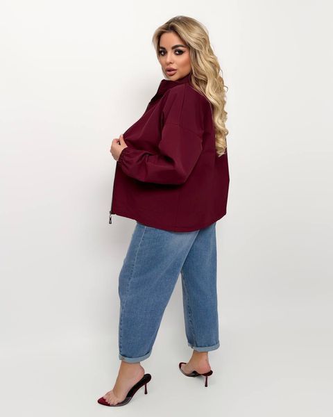 Ветровка женская из плащевки жатка new 42, 44, 46, 48, 50, 52, 54 (6цв) "LUXE STYLE" недорого от прямого поставщика Rin2317-068v фото