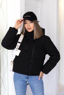 Куртка женская демисезонная на холлофайбере M,L,XL,2XL (4 цв) "LARA-2" недорого от прямого поставщика Razg4409-369t фото
