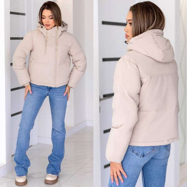 Куртка женская демисезонная на холлофайбере M,L,XL,2XL (4 цв) "LARA-2" недорого от прямого поставщика Razg4409-369t фото
